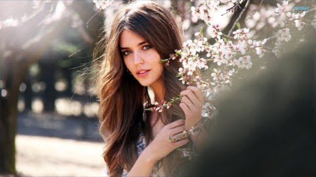 Виктор Тартанов   -    Ласточка