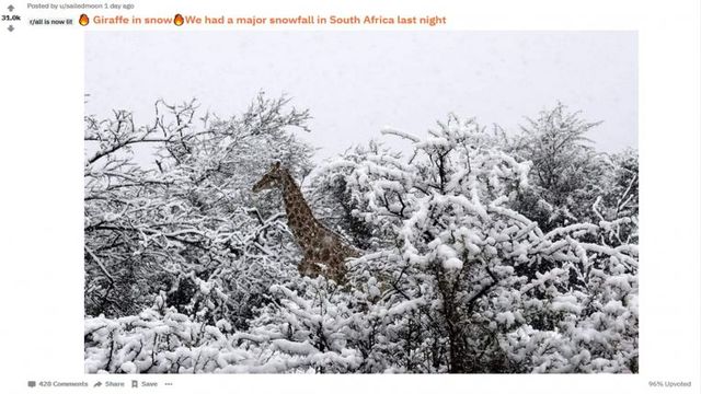 Сняг заваля над Южна Африка (ВИДЕО)