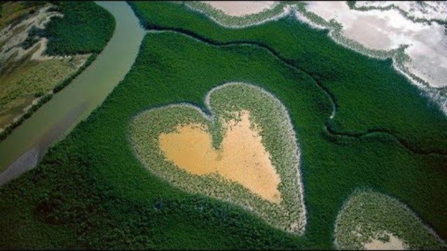 Алмазов Владимир - Моя любимая и нежная