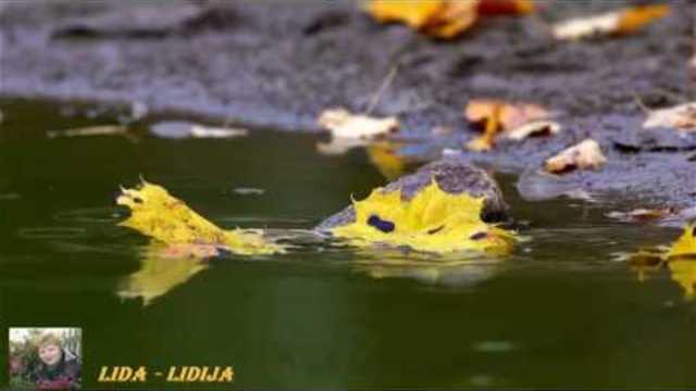 Алексей Плотников  -  Дарю Тебе Осень