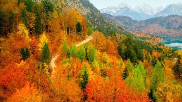 Дмитрий Медведев    -     Золотые планы осени