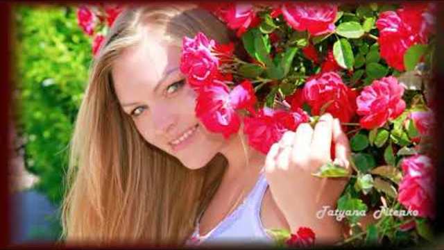 Крис Хауген  -  Испанская роза