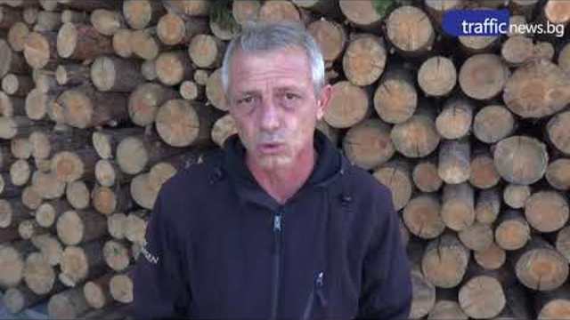 Дървата за огрев в Пловдив поскъпнаха с 20%