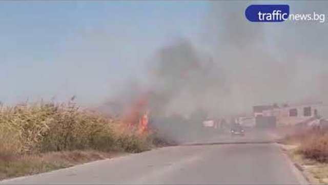 Огънят сe прехвърли през Околовръстното на Пловдив