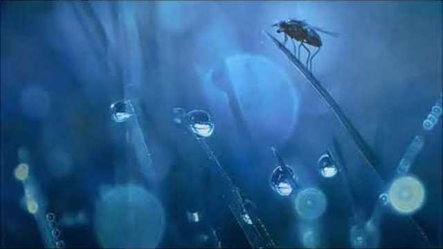 Бандари  💞   Искам да знам какво е любов