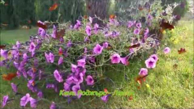 Кени Роджърс 💞  Люсил  *Музика която харесваме заедно*