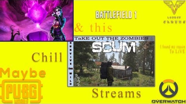 Fun chill Streams - Pc Live Game Streaming (it is you)