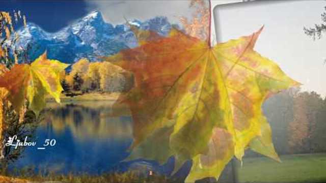 Татьяна Козловская  -  Жёлтые  листья