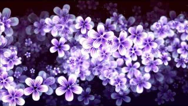 Блекмор Нихт 💞 На къде отиваме