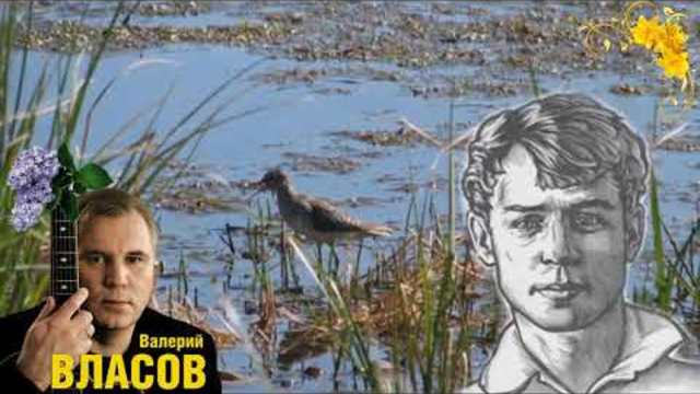 Валерий Власов - " Крик Души"