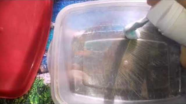 Провіряю рецепти лизунів😍