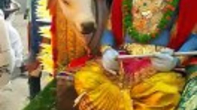 Боговете на Индия!