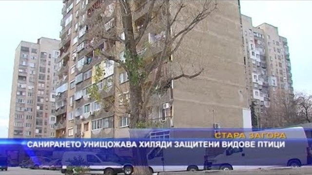 Санирането унищожава хиляди защитени видове птици