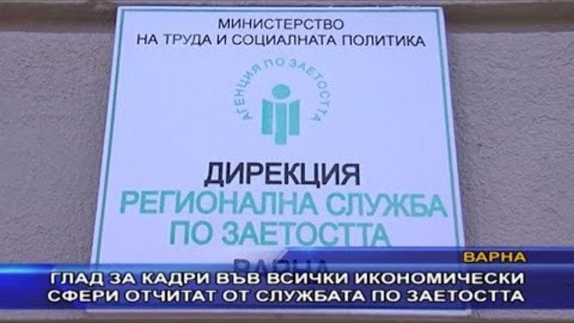 Глад за кадри във всички икономически сфери отчитат от службата по заетостта