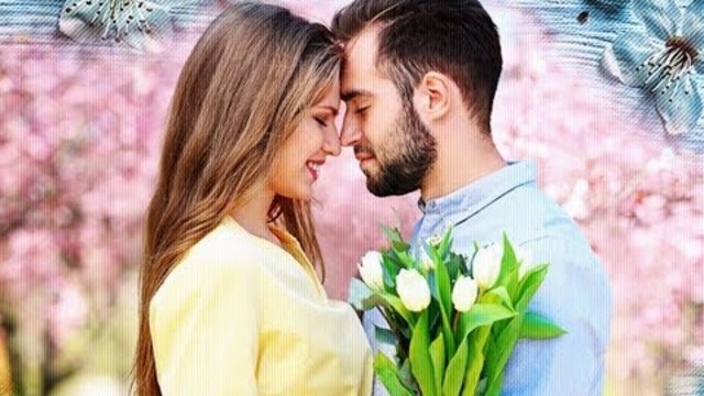 Александр Закшевский - Дорогая женщина моя!