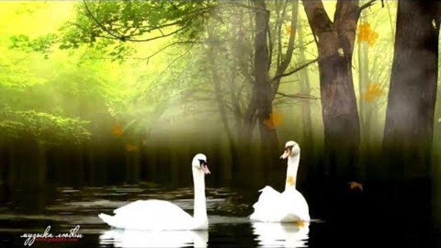 Игорь Ашуров - Листопад