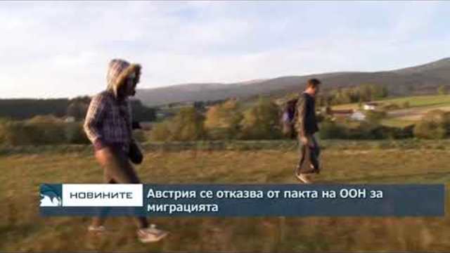 Австрия се отказва от пакта на ООН за миграцията