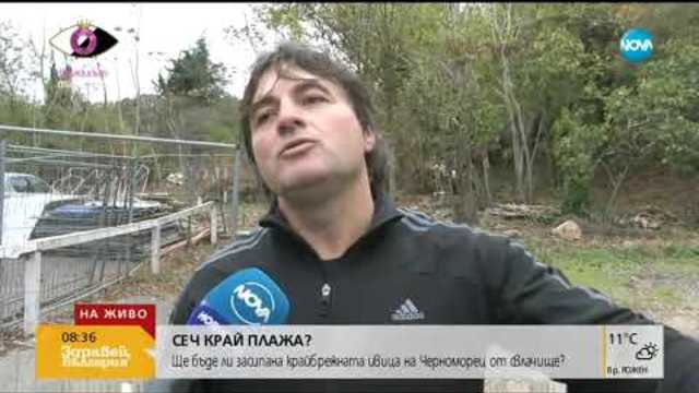СЕЧ НАД ПЛАЖ В ЧЕРНОМОРЕЦ: Може ли да предизвика свлачище (02.11.2018г.)