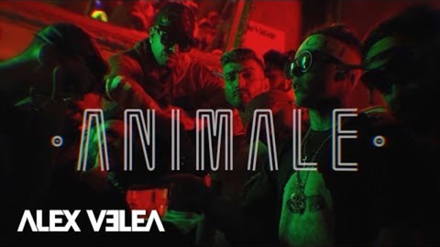 Alex Velea - Animale | Official Video