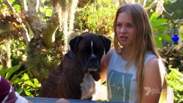 Дом и далеч 7004 8 ноември 2018 г. |