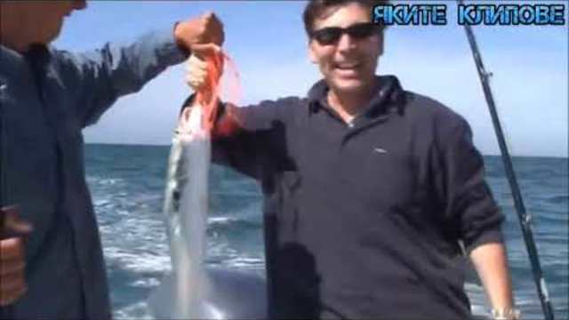 Рибарски гафове   як смях