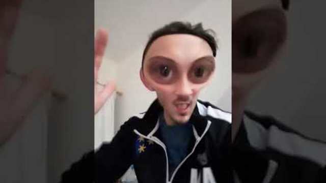 Шушана Shushana Смях (мухата)