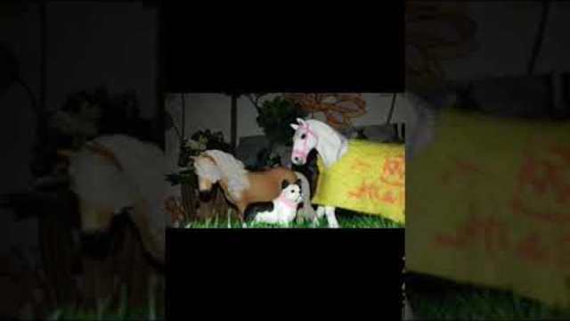 Обявявам Гивалей по случай 81 абоната!Времето за филмите изтича утре!Описанието!!!!!!!!😘😍😺💟