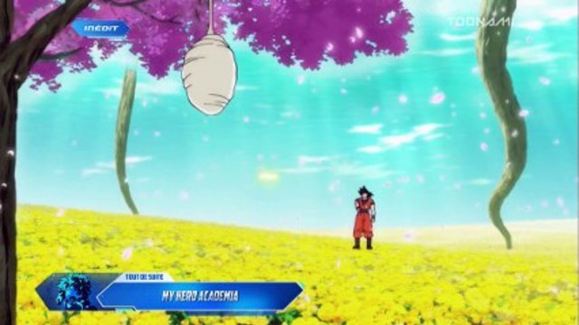 Dragon Ball Super E93 VF (PREVIEW)