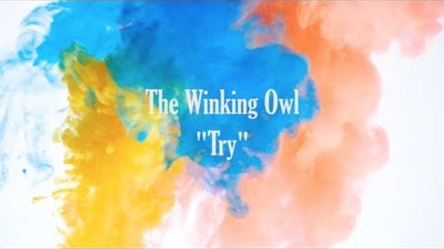 The Winking Owl - Try- (Official Music Video)