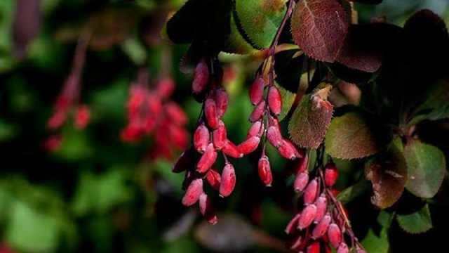 Андрей Иванцов  - Нарисую для тебя