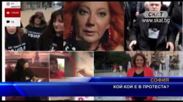 Кой кой е в протеста?