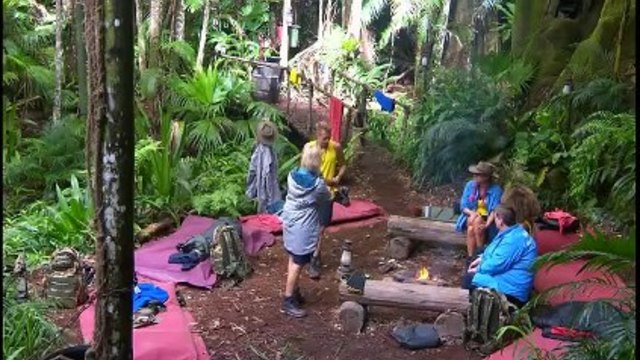 Аз съм знаменитост ме измъкни от тук UK - S18E02 - 19 ноември 2018 ||