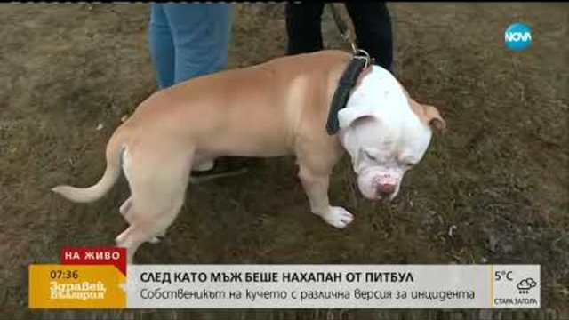 След като мъж беше нахапан от питбул: Собственикът на кучето с различна версия
