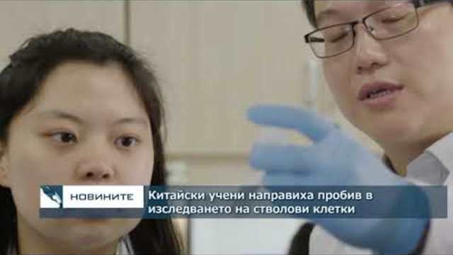 Китайски учени направиха пробив в изследването на хемопоетични стволови клетки