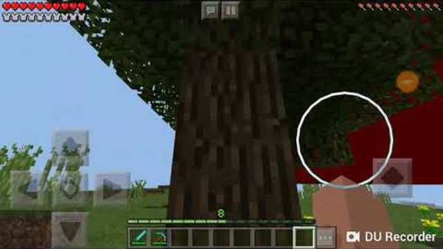 Пъравих хубави кючеци