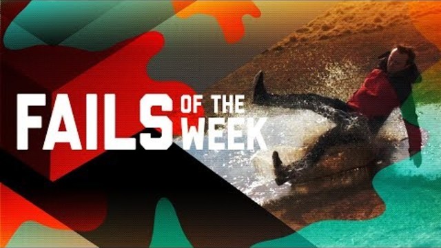 Treadmill Terror: Fails of the Week (November 2018) | FailArmy