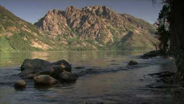 Музыка Сергей Грищук  -  ,, НЕ ПЛАЧЬ"