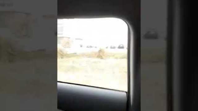 Новини от вас: Това е България!