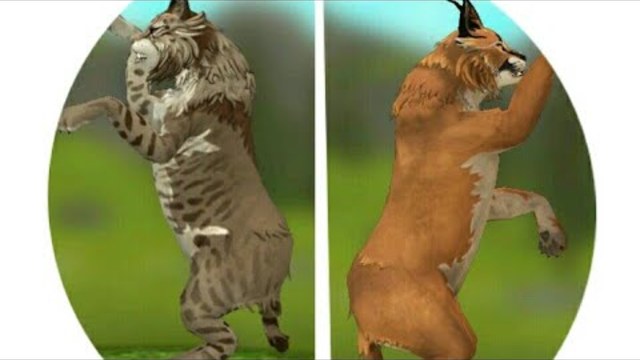 Клип на 140|Я люблю тебя....(РЕМИКС!!!)