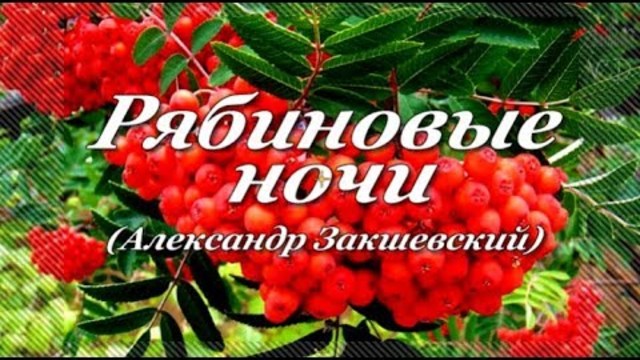 Александр Закшевский   -   Рябиновые ночи!