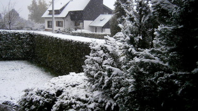 Дойде зима навън! Снеговалажи и ниски температури в почти цяла България