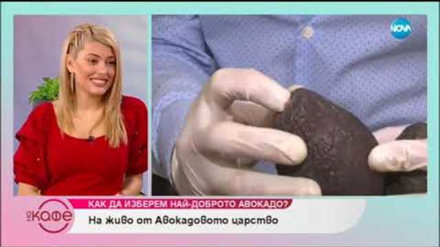 На живо от Авокадовото царство - На кафе (26.11.2018)