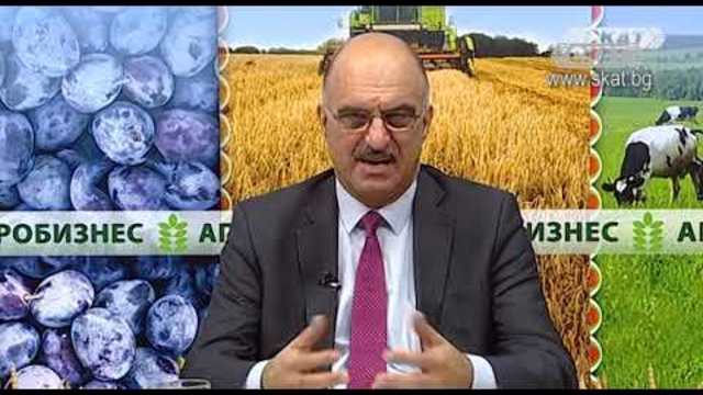 Телевизия СКАТ