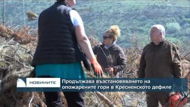 Продължава възстановяването на опожарените гори в Кресненското дефиле