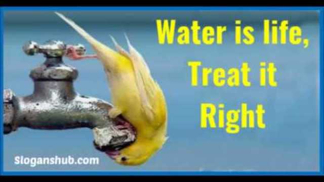 Top 10 Save Water Slogans