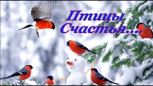 Музыка Сергея Чекалина  - " Птицы счастья..."