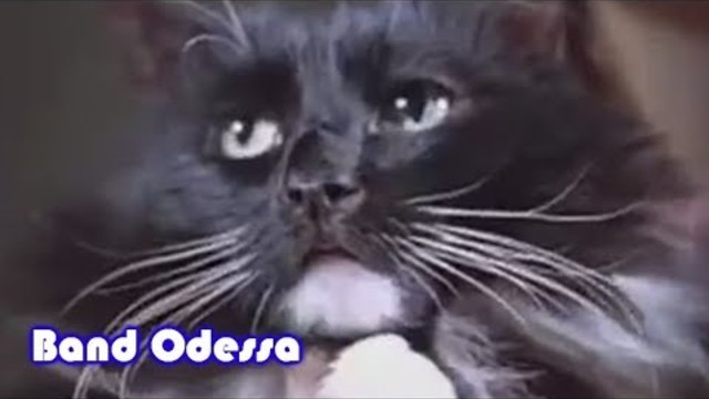 BAND ODESSA  -  ПАДАЮТ СНЕЖИНКИ !