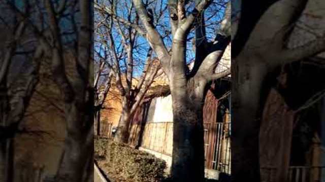 Преди времето в Айтос да се развали!😬