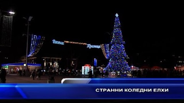 Странни коледни елхи