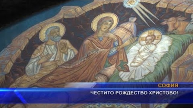 Странни коледни елхи